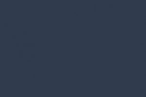(00LS) Bluriva