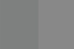 (L0213) Nebbia