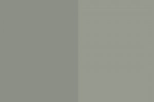 (L0218) Salvia