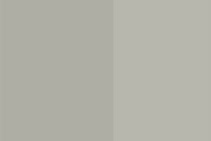 (L02317) Agata