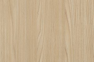 (SP003) Paglia