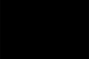 (VS004) Vetro Nero